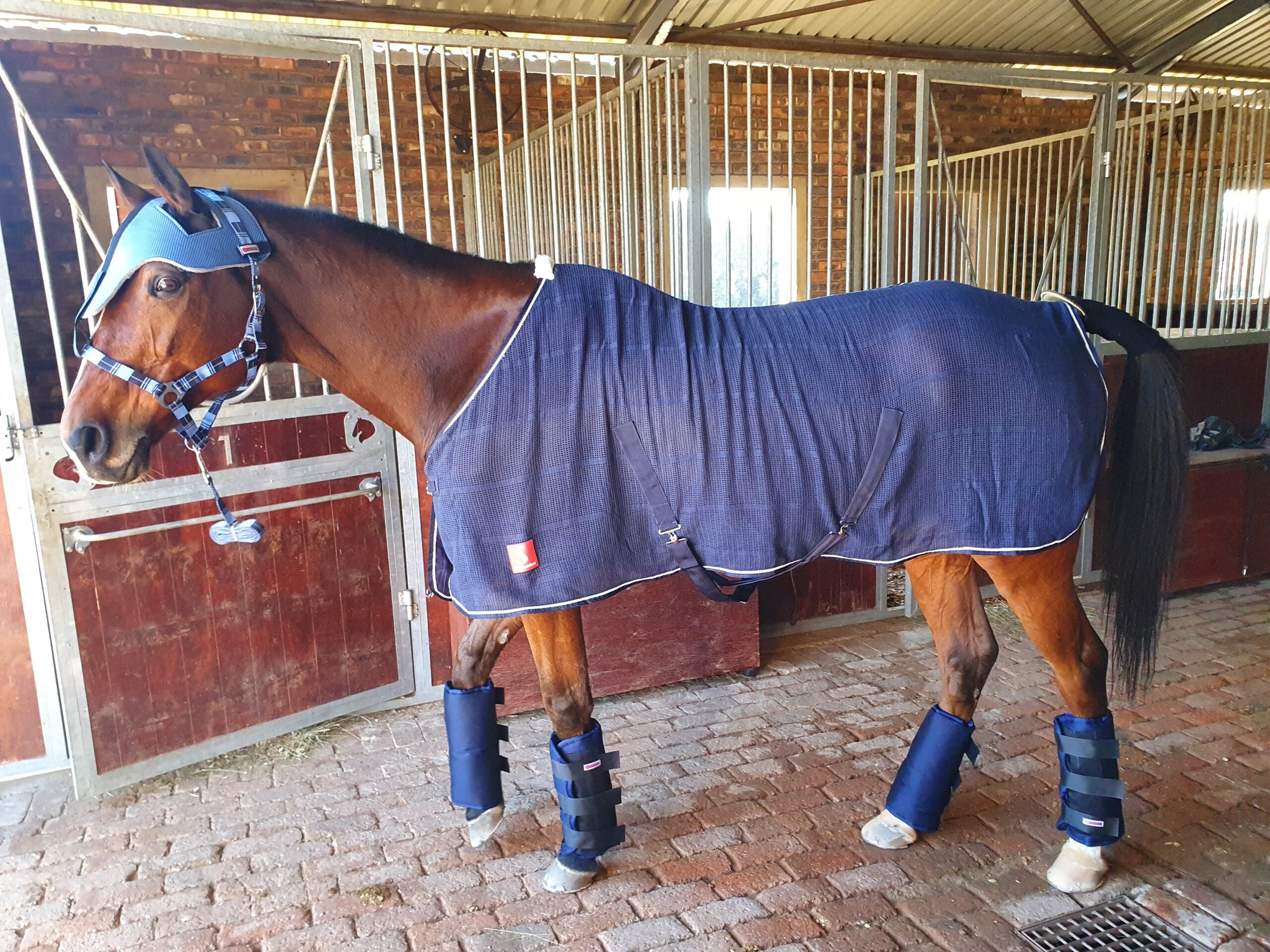 Show Checklist for Horse & Rider