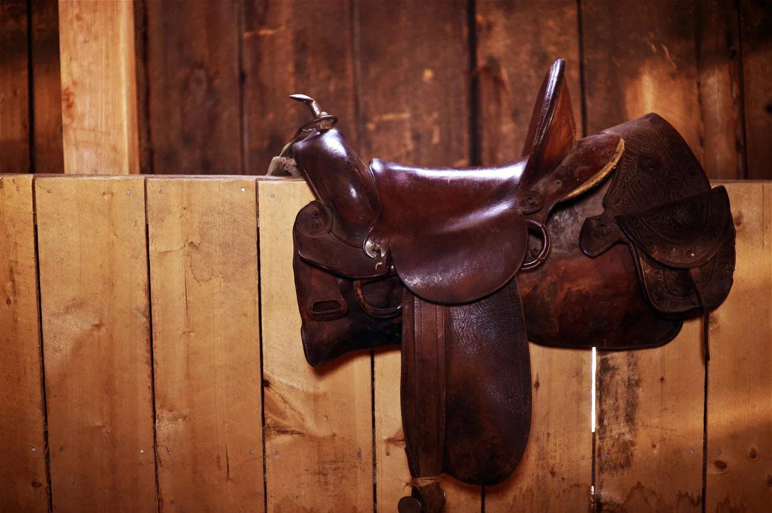 Western Saddles: Parts, Types, Fit and How to Choose the Right One