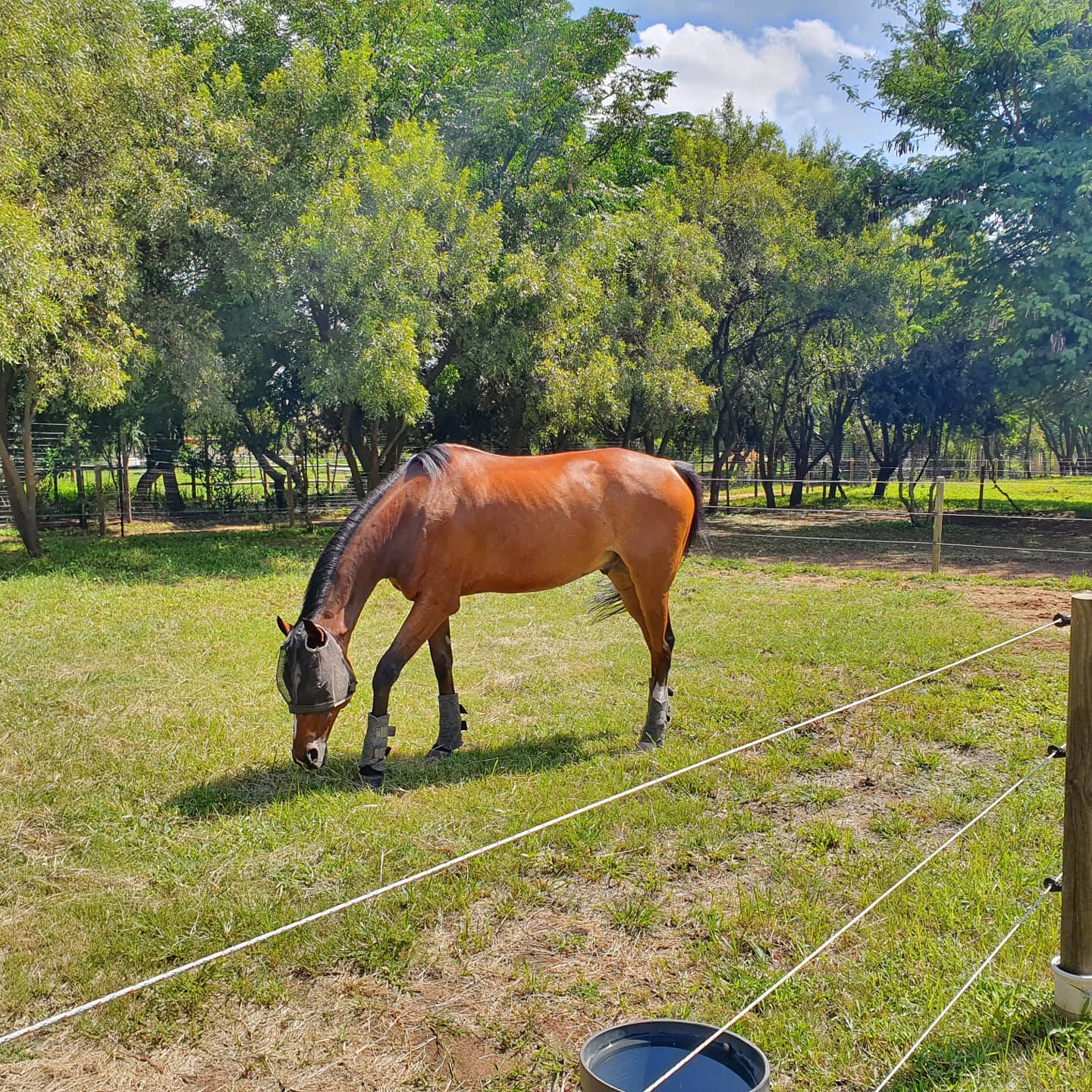 Moving to a new stable yard or getting a new horse