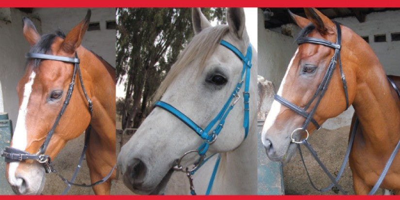 Solo Saddlers Bridles