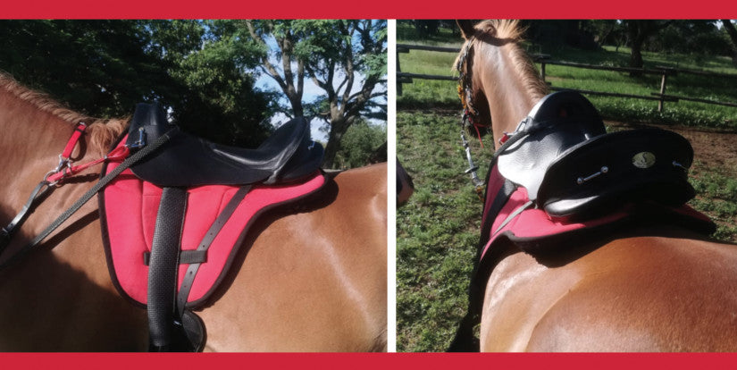 Solo Trail/Endurance Leather Saddle Review - Lindsay Welken