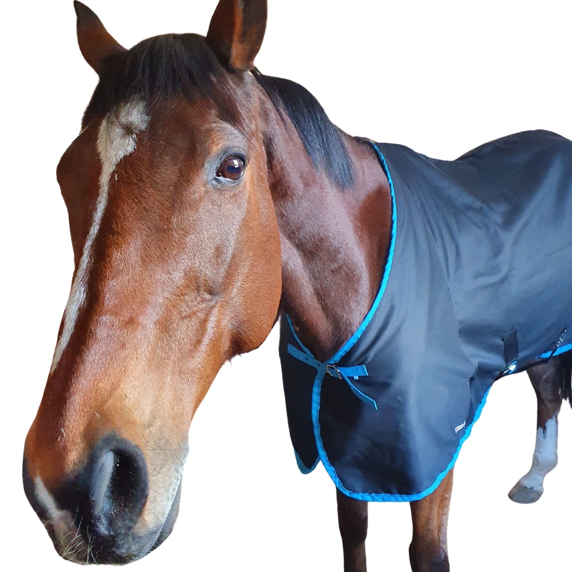 Daysheet Solo Foal/Mini