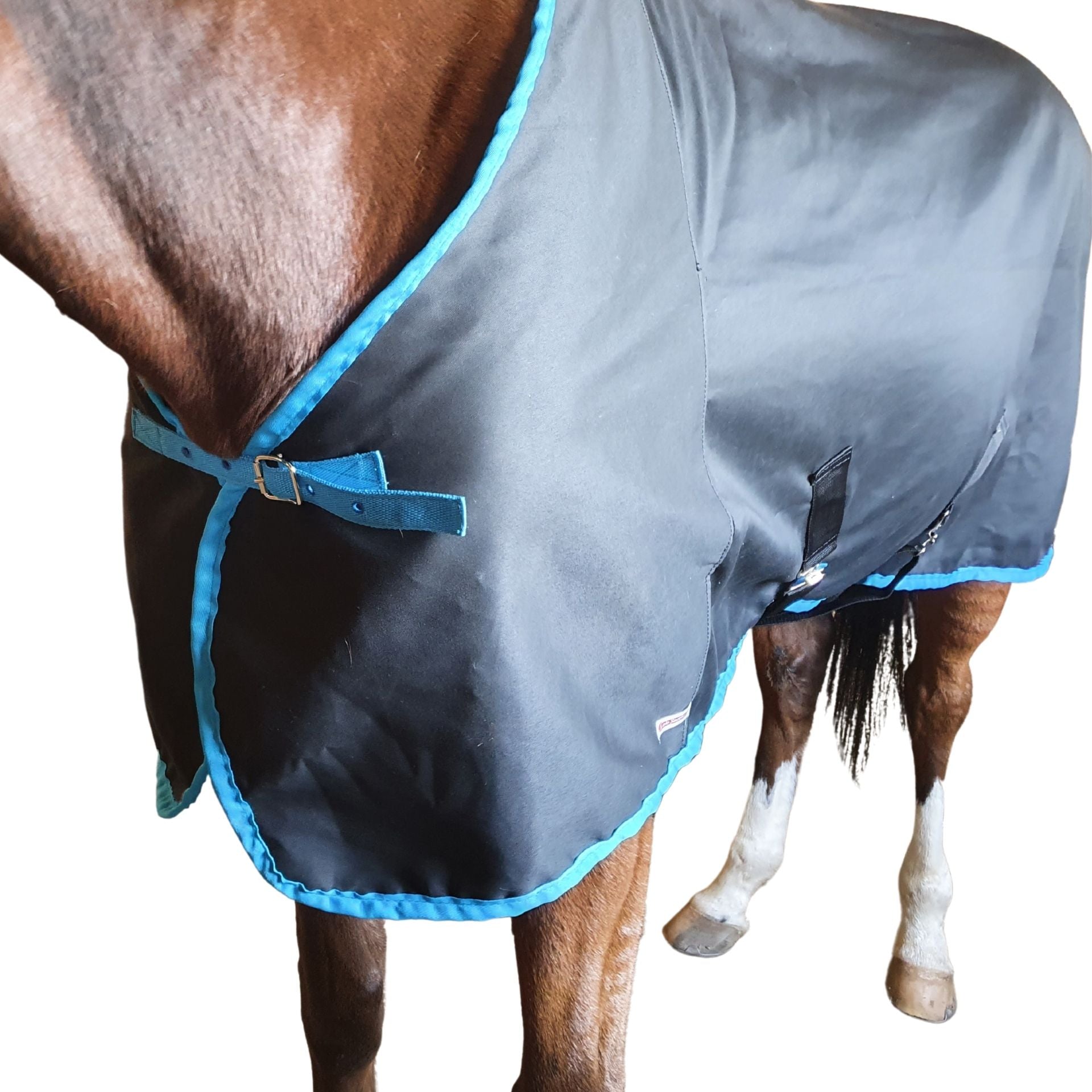 Daysheet Solo Foal/Mini