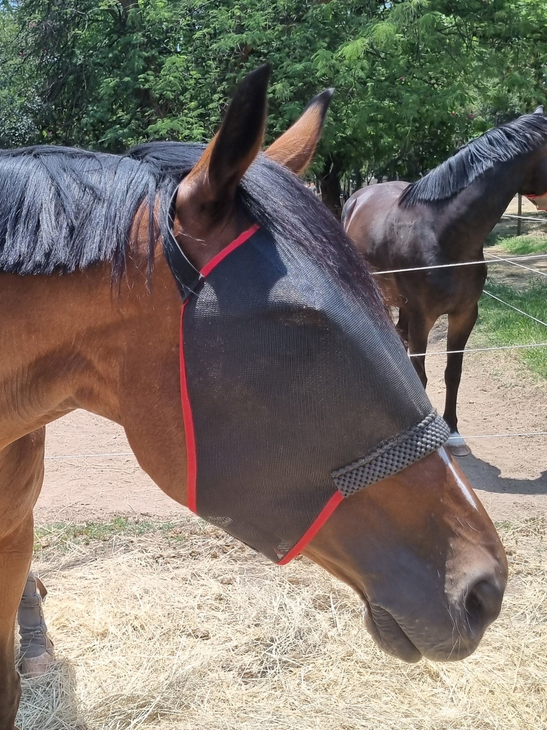Fly Mask Comfort Equiprene Solo