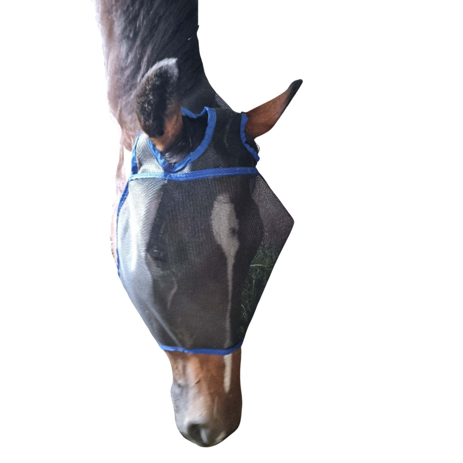 Fly Mask With Ear Holes Solo