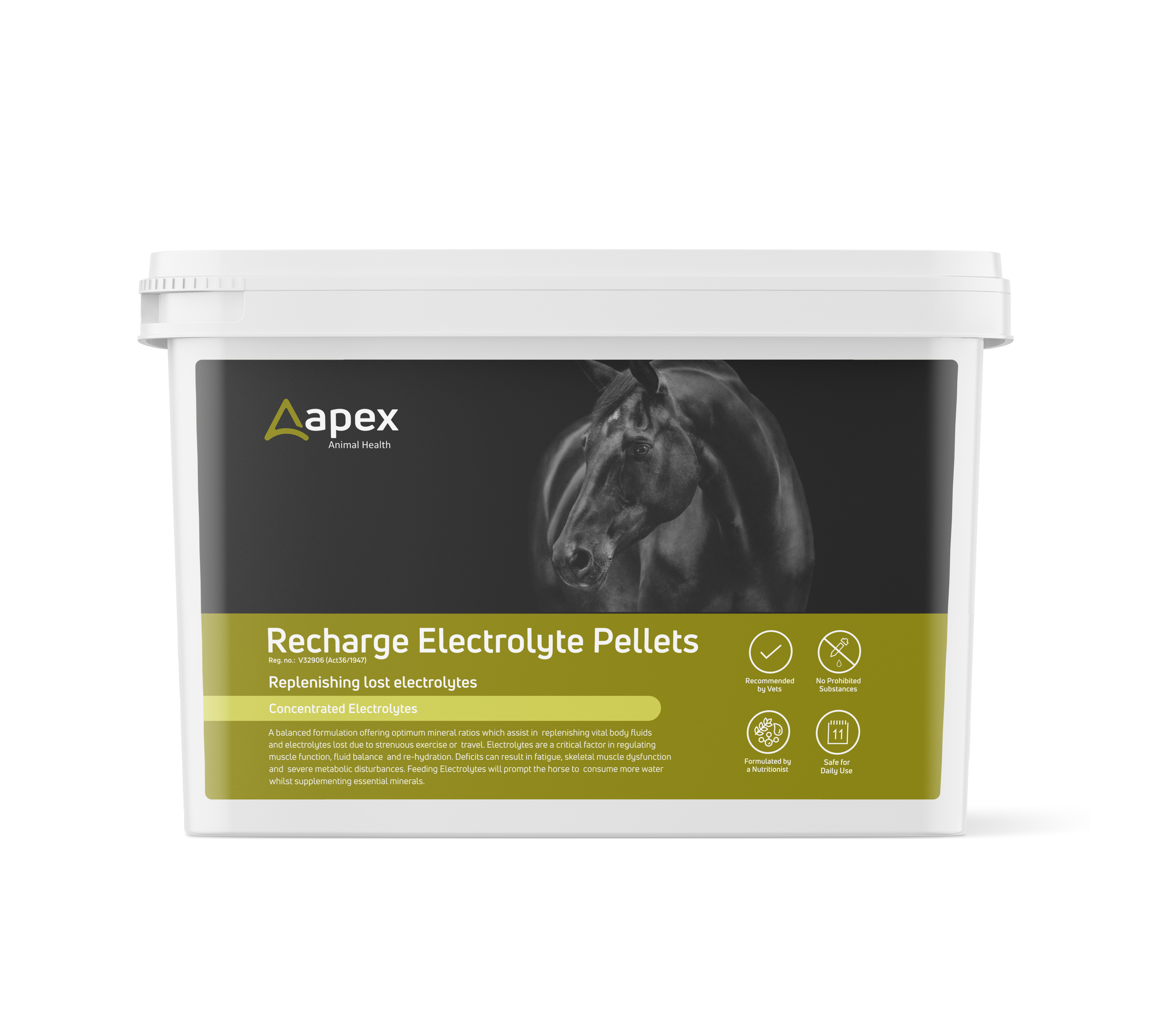 Electrolyte Recharge Pellets