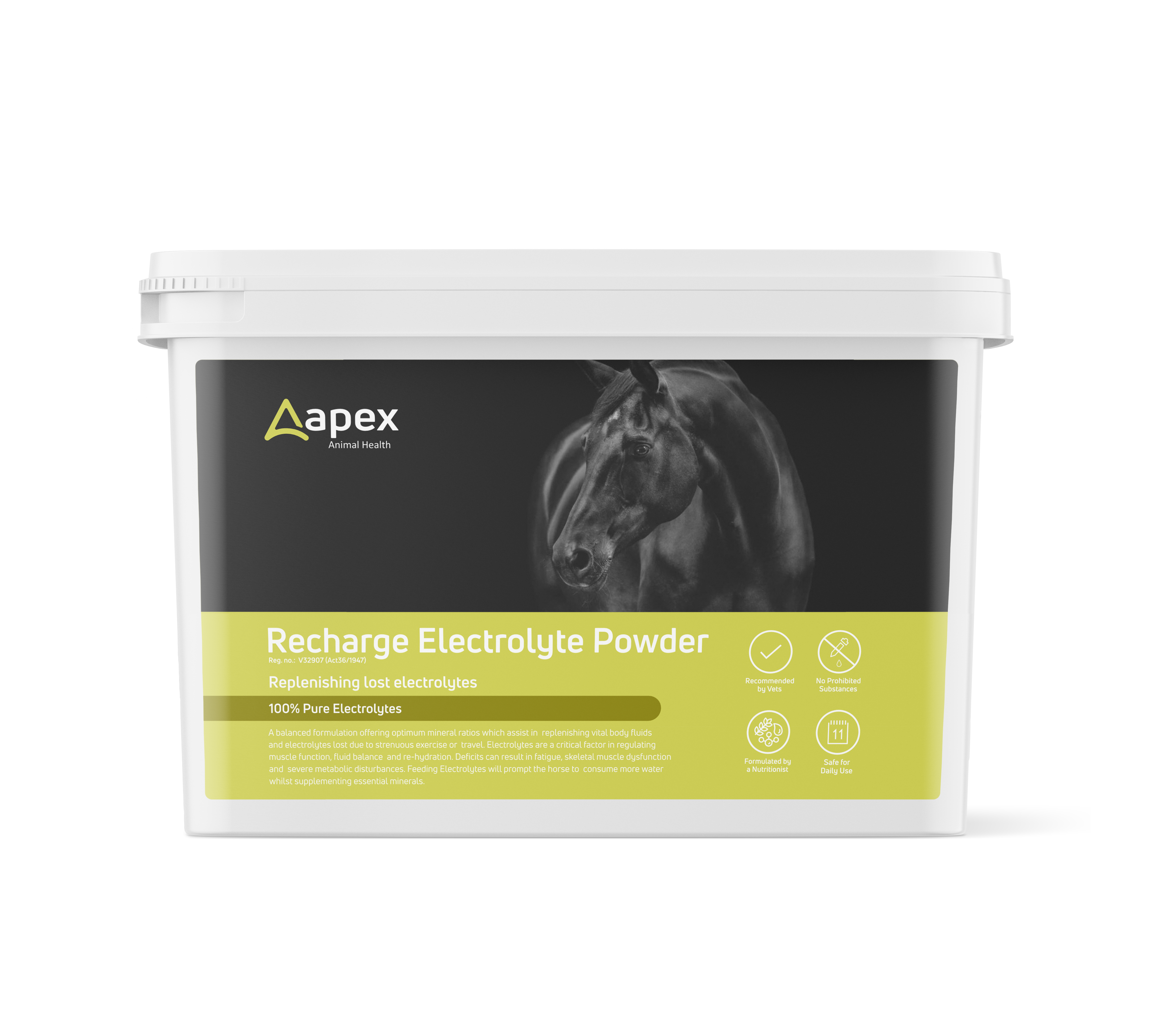 Electrolyte Recharge Powder