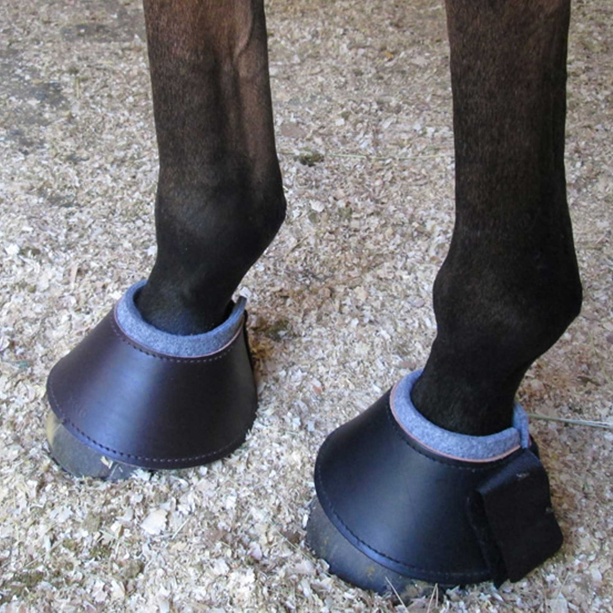 Boot Solo Solo Saddlers