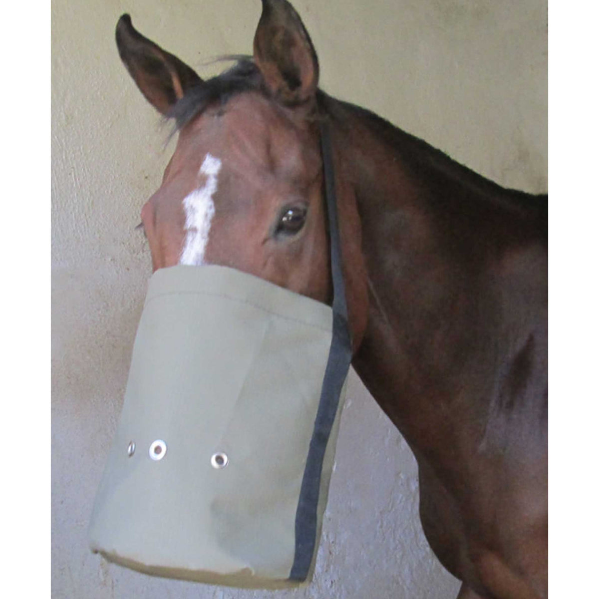 Nose Feeding Bag Solo – Solo Saddlers