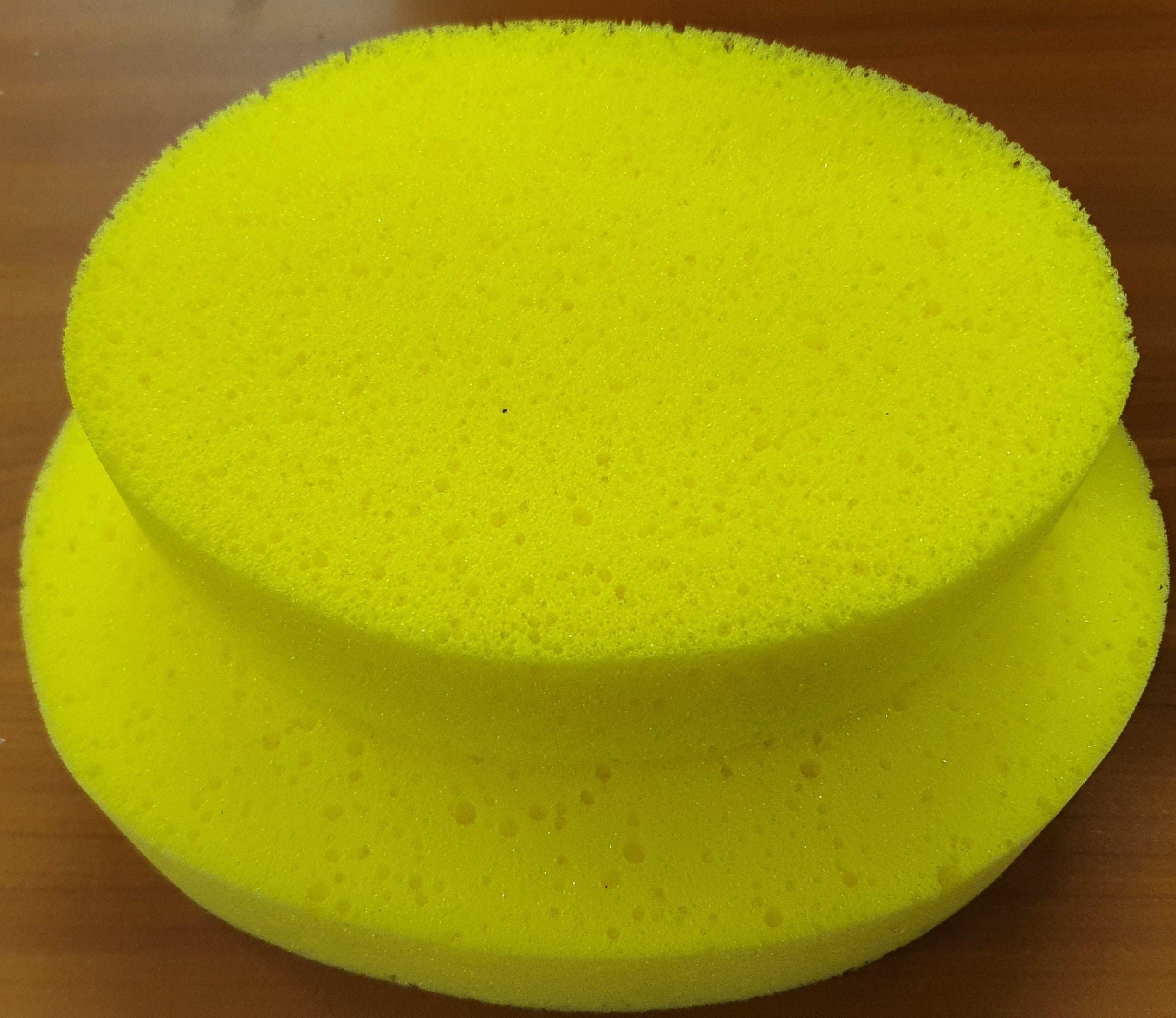 Sponge Sea Oval Solo