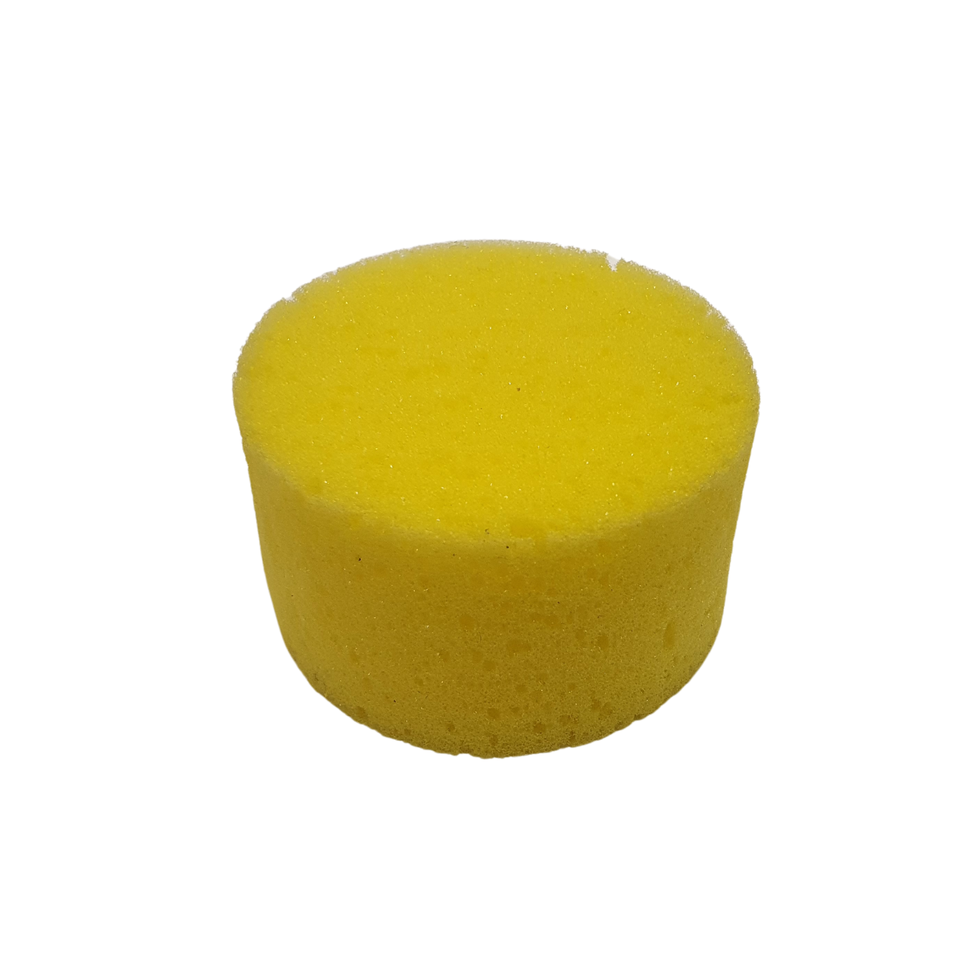 Sponge Sea Round Solo