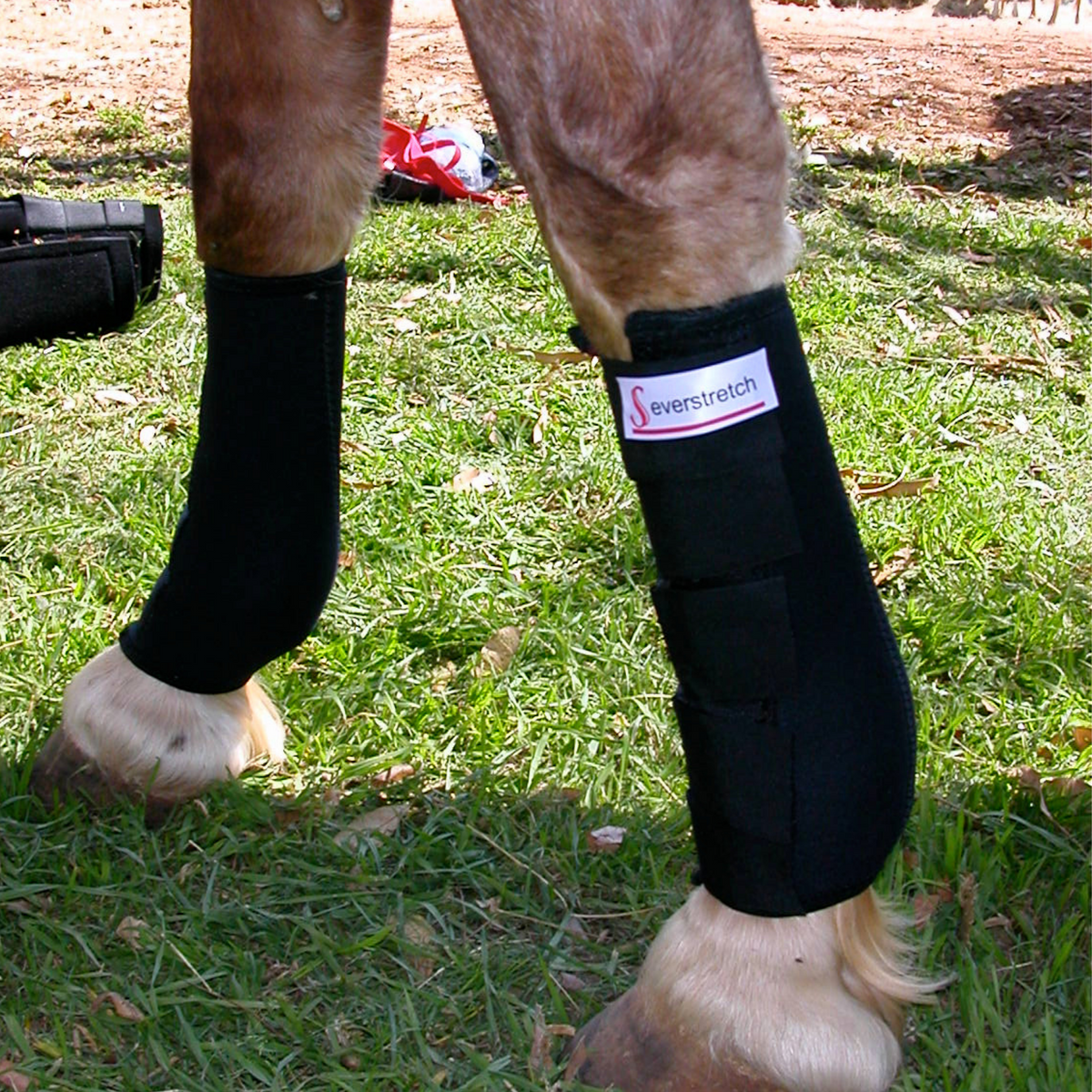 Ankle on sale boots horse