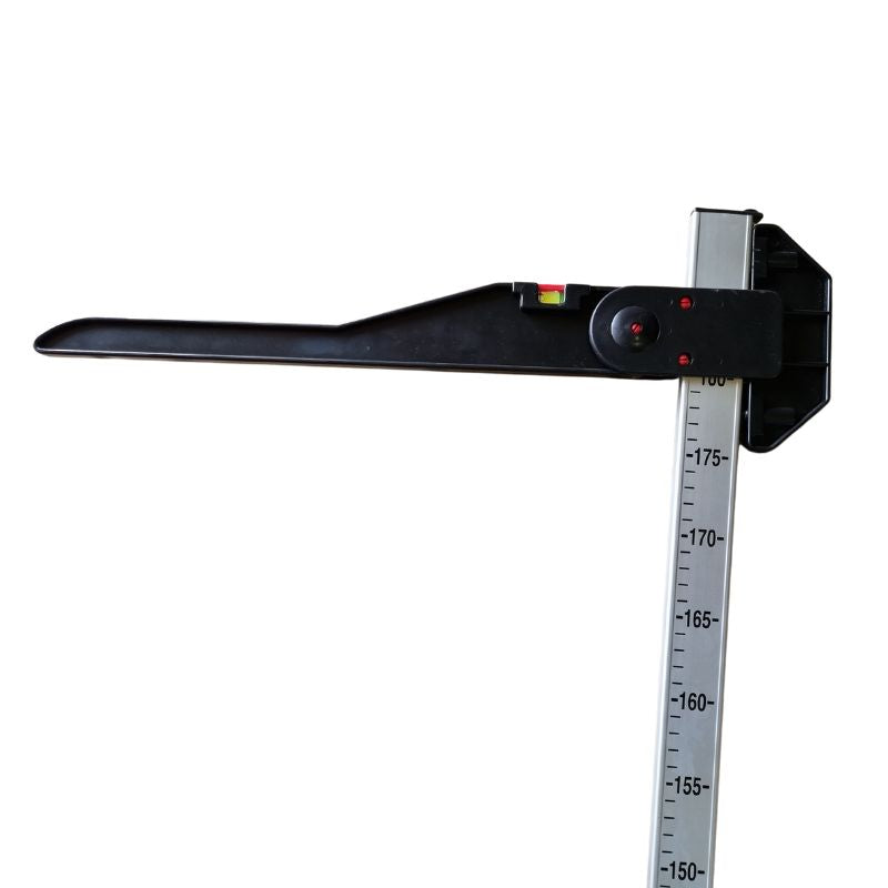 Lincoln Horse Measuring Stick