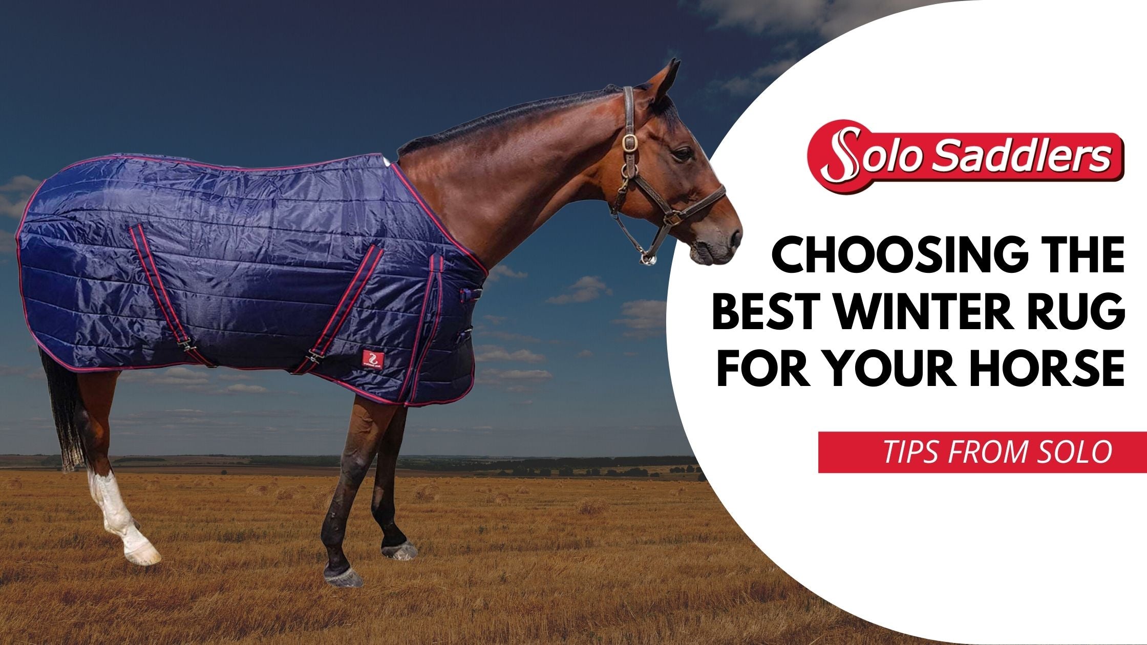 Choosing the best winter rug for your horse