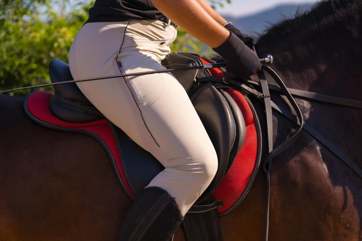 Endurance Saddle Guide: How to Choose Tack That Goes the Distance