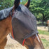 Fly Masks for Horses: How to Choose, Fit and Get Through Fly Season