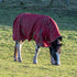 Horse Blankets: A South African Winter Guide to Rugs, Weights, and Sizing