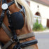 Horse Blinkers Explained: Types, Fitting and When Your Horse Needs Them