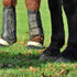 Horse Boots: Which Type Your Horse Actually Needs and When to Use Them
