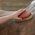 Horse Grooming Kit: What Every Rider Actually Needs and How to Use It