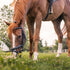 Horse Halter Guide: Rope, Nylon or Leather, and How to Fit One Properly