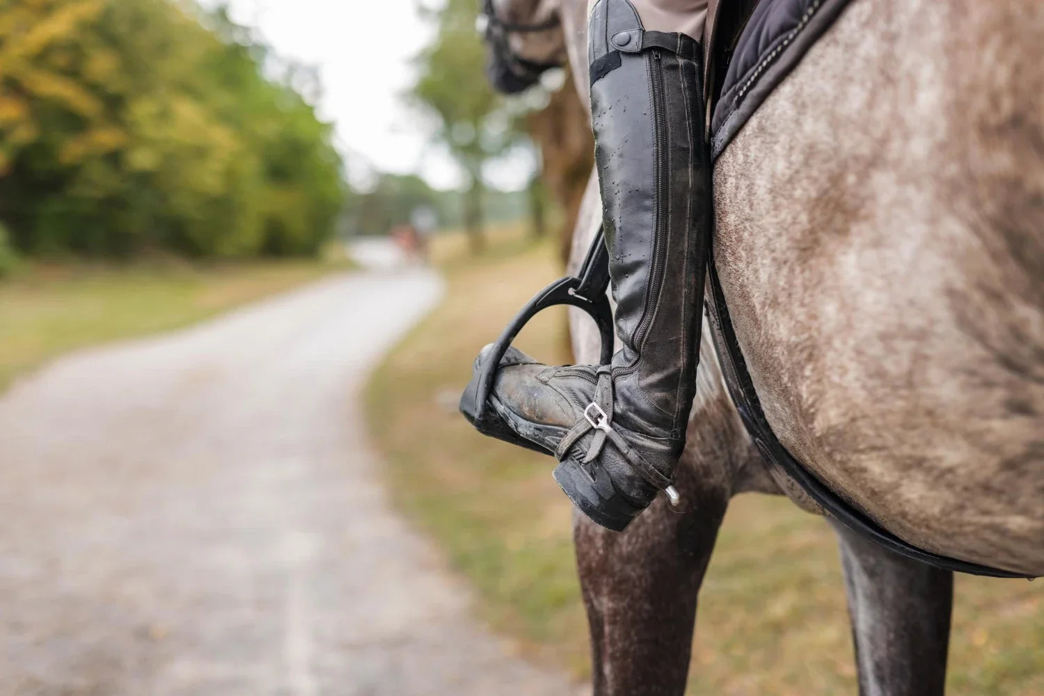 Horse Spurs: Types, Correct Use and How to Choose the Right Pair