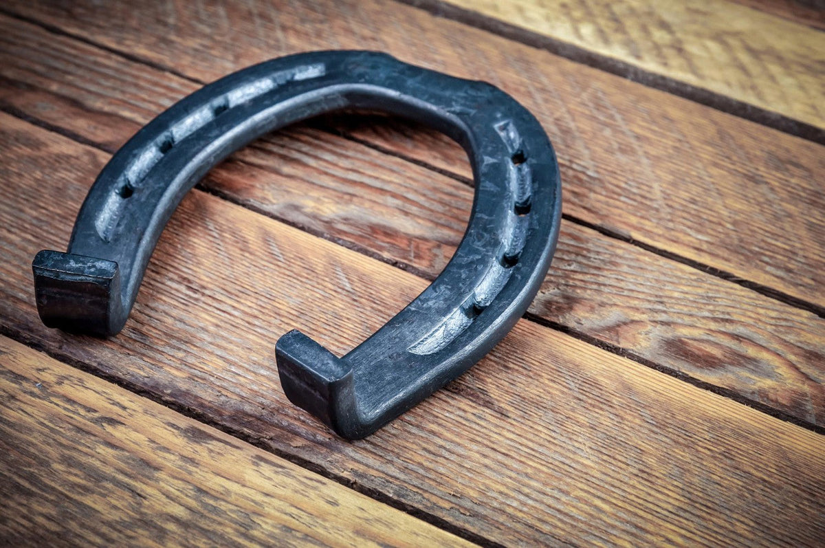 Horse Shoes Explained: Types, Fitting and How Often to Shoe