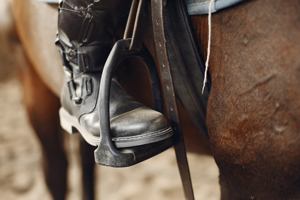 Horse Stirrups: Types, Materials, and How to Choose the Right Pair