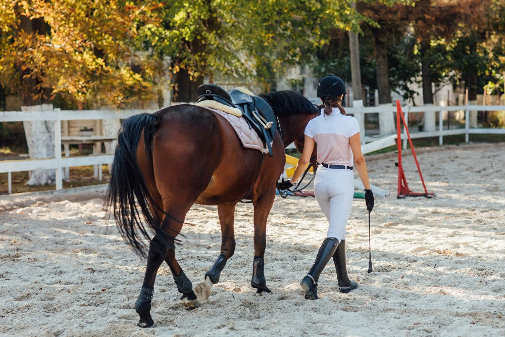 Horse Supplements: What Your Horse Needs | Solo Saddlers