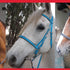 Solo Saddlers Bridles