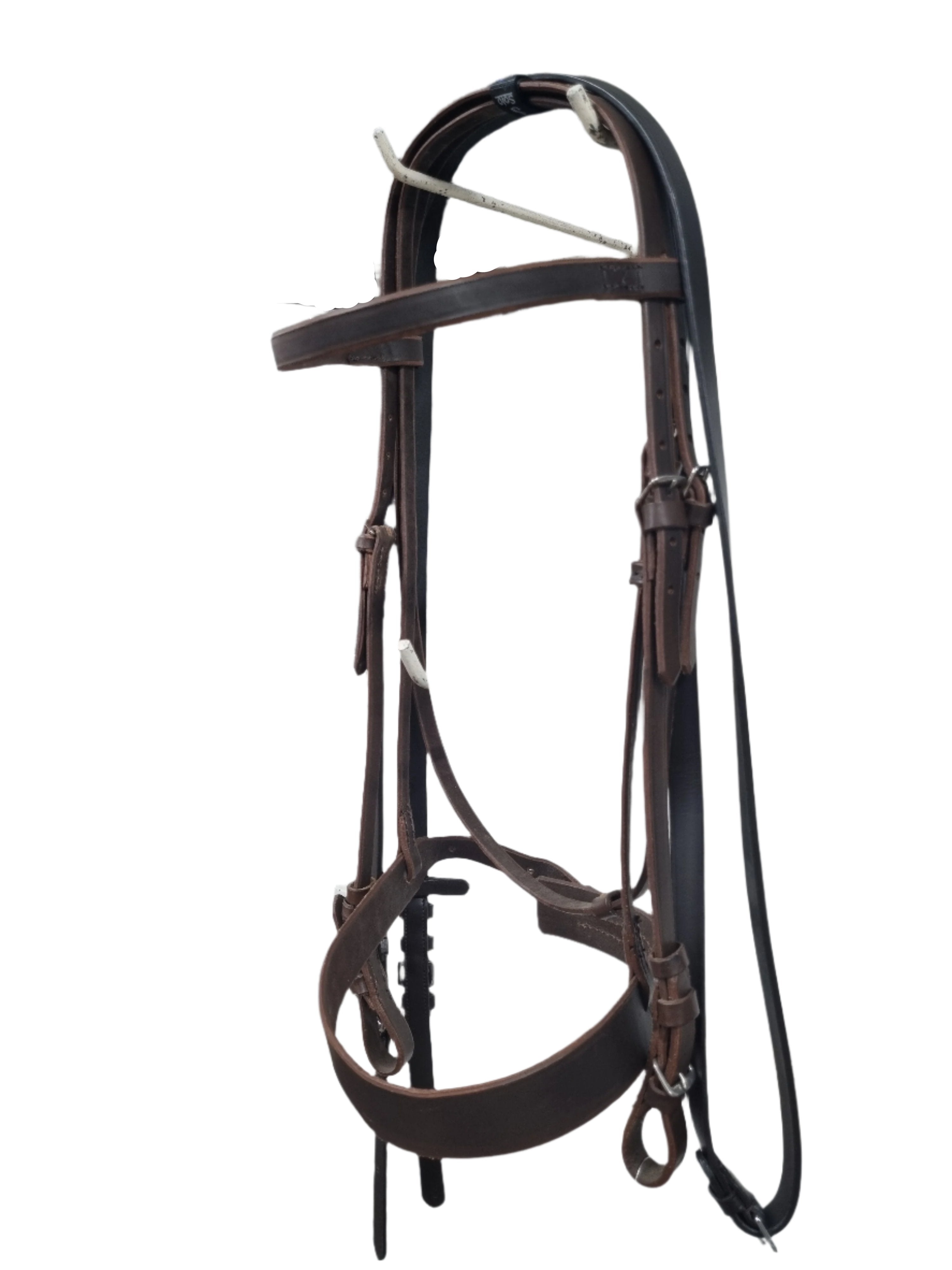 Bridle Percheron/Shire Solo