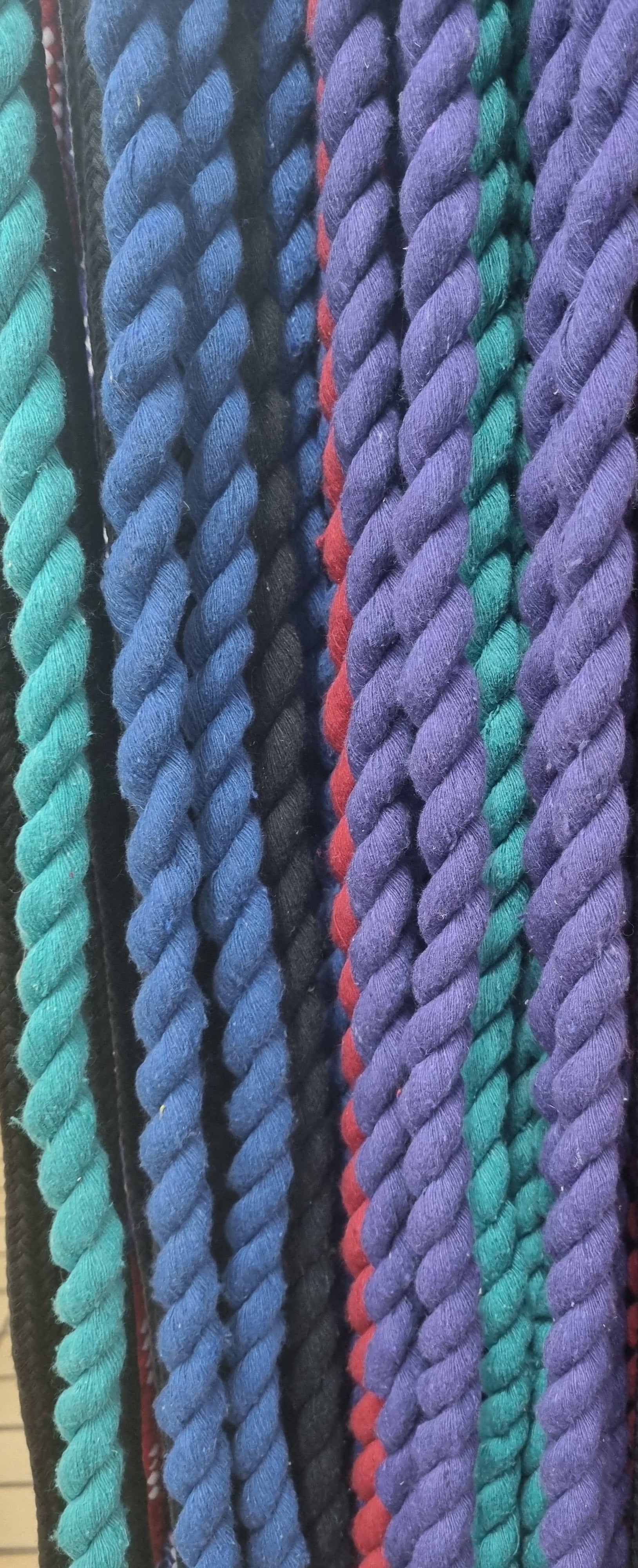 Rope Lead Twisted Solo