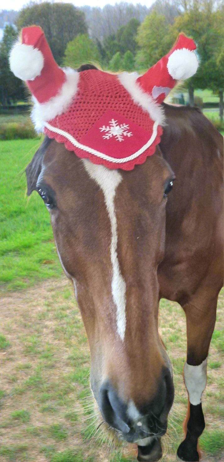 Ear Veil Solo Christmas