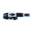 Belt Polo Argentinian Solo