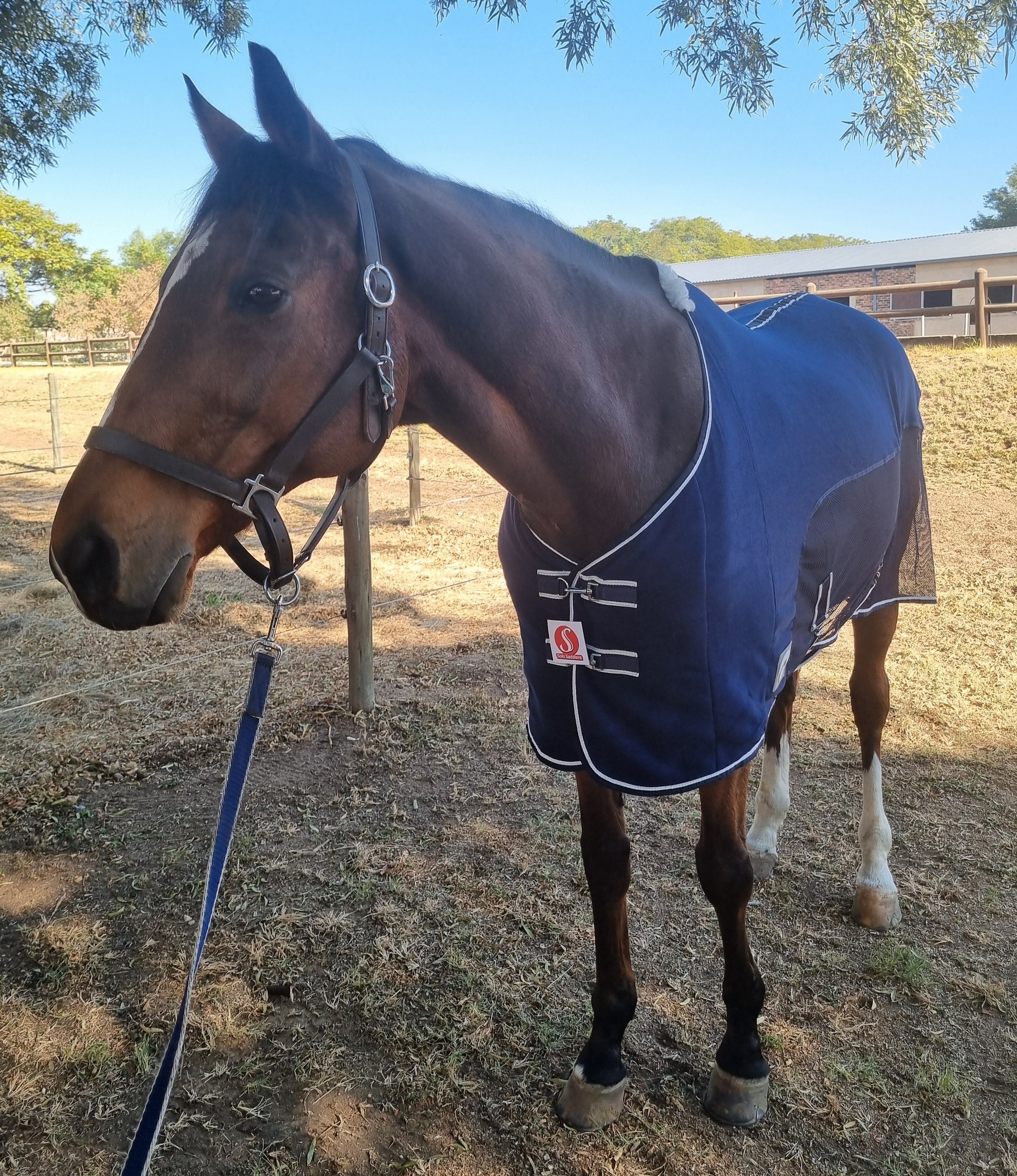 Rug Mesh + Fleece Solo