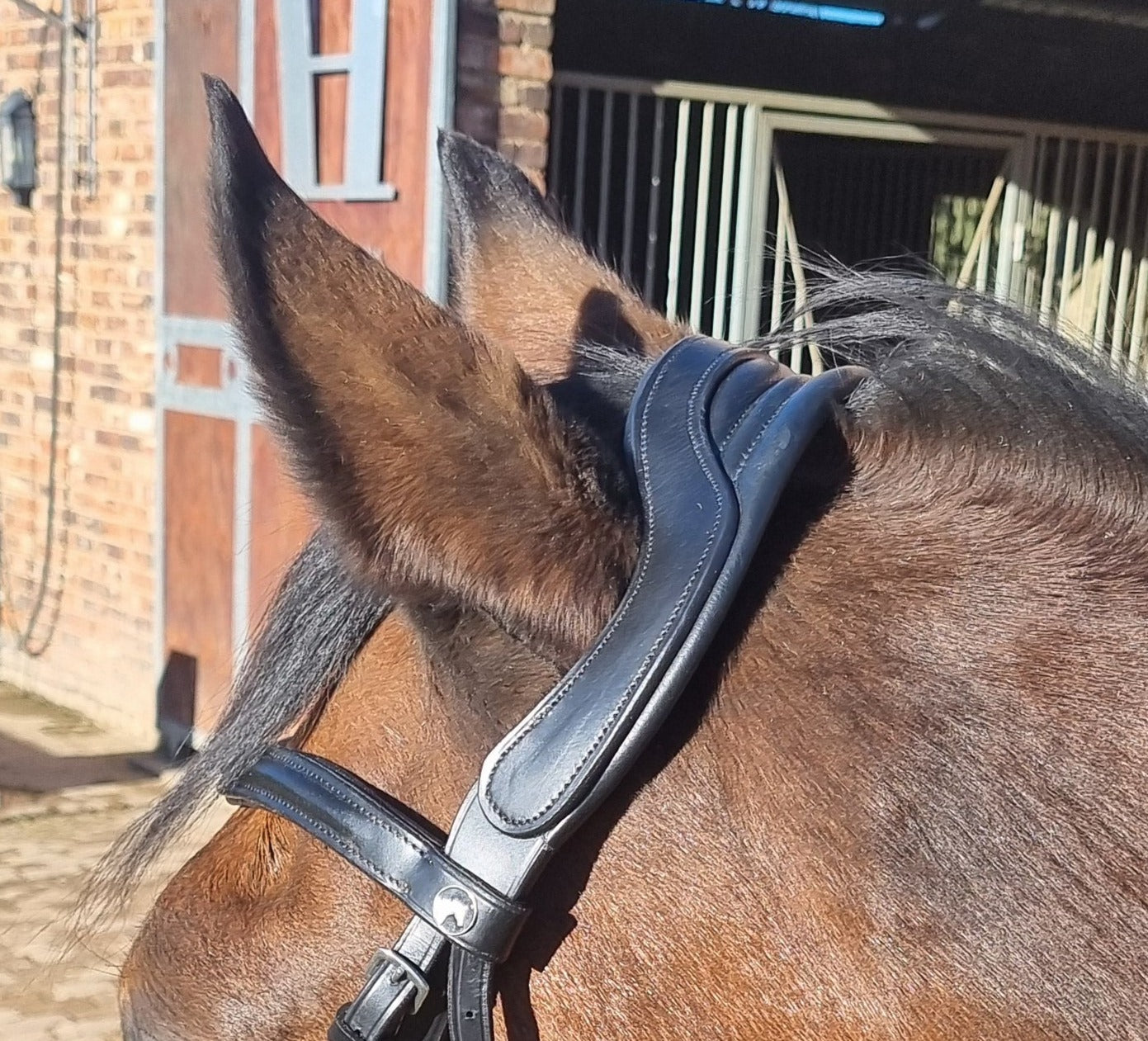 Bridle Anatomic Padded Solo