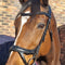 Bridle Anatomic Padded Solo