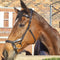 Bridle Anatomic Relief Solo