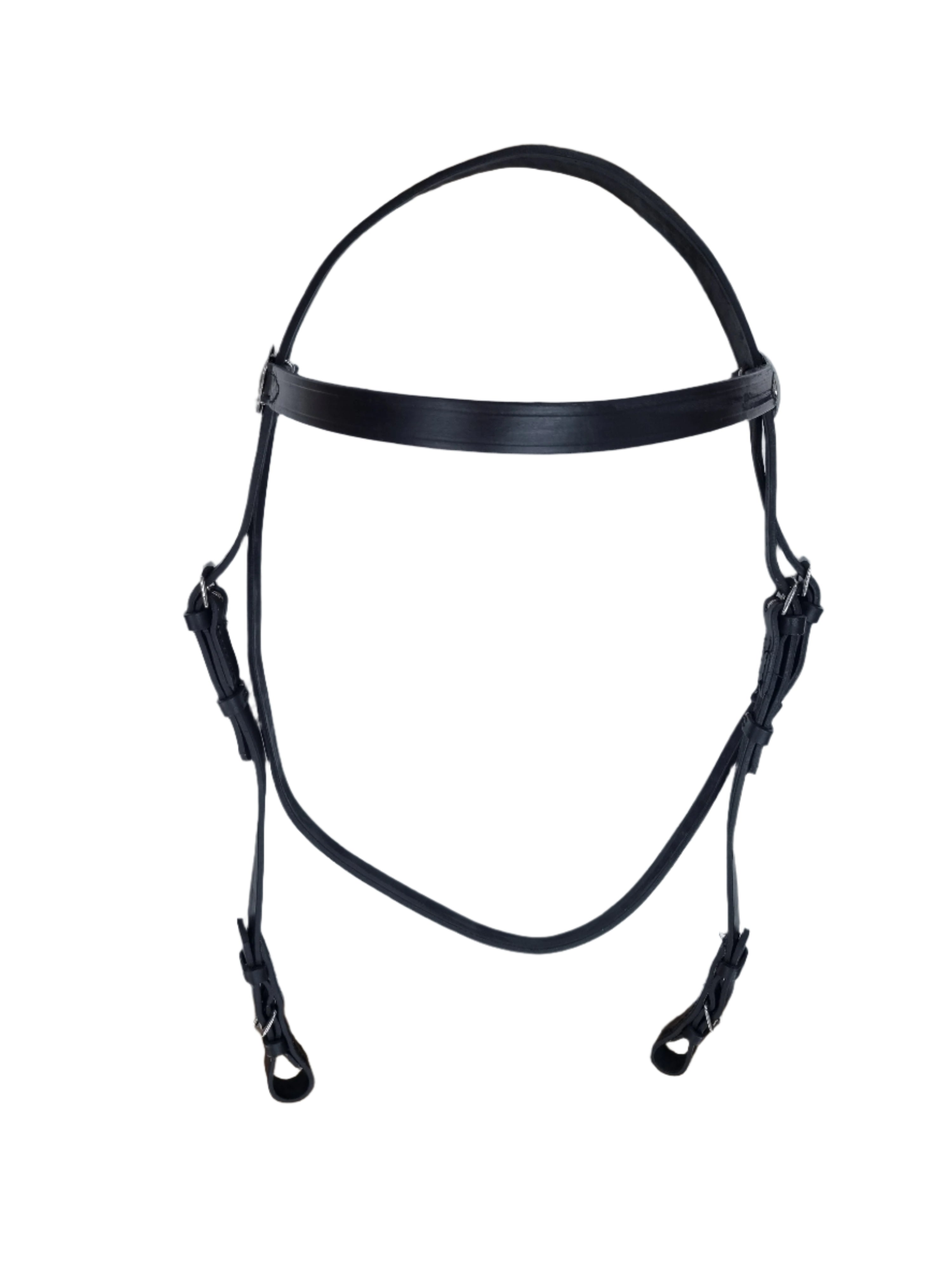 Bridle Showing In Hand Solo