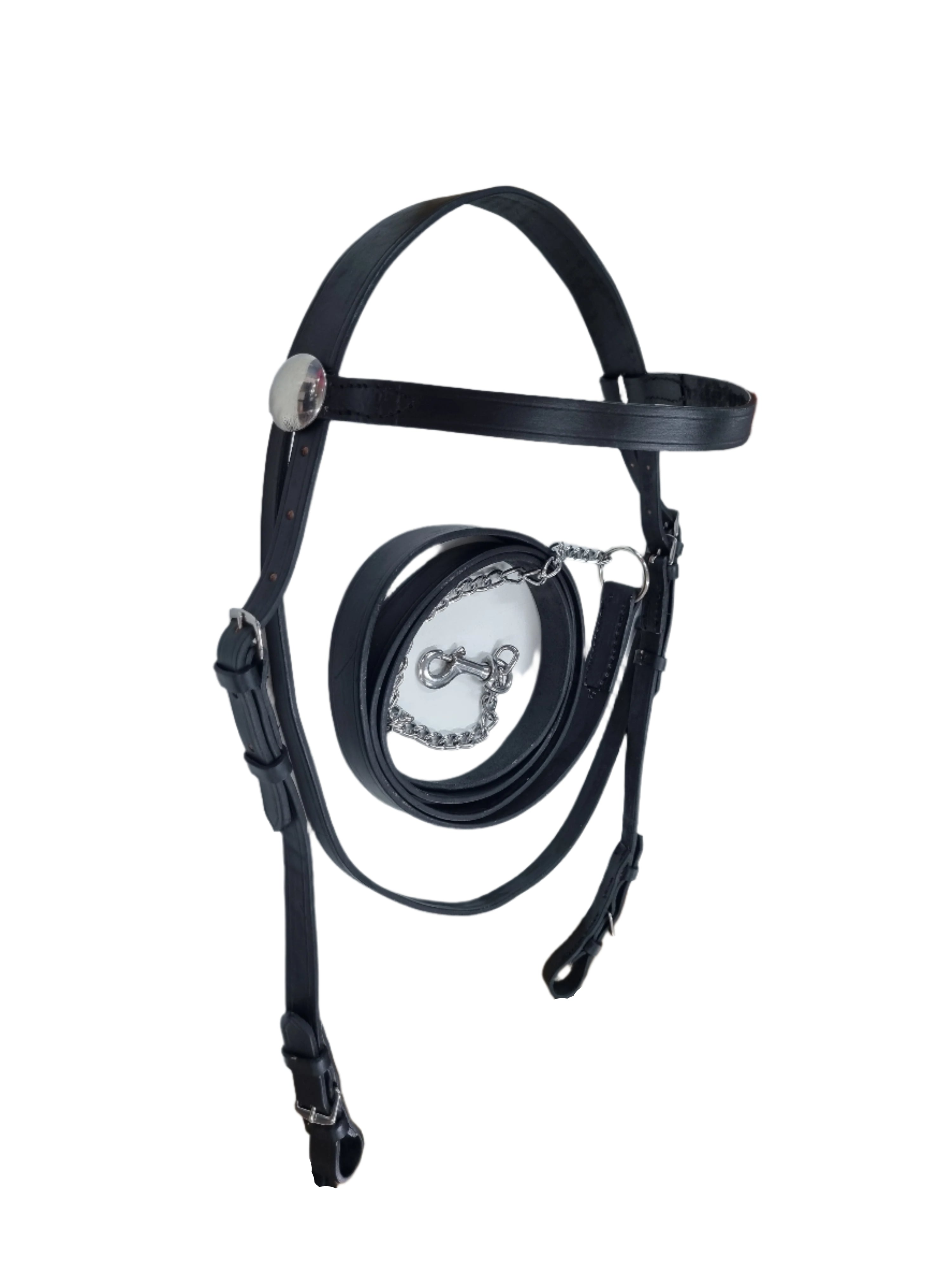 Bridle Showing In Hand Solo