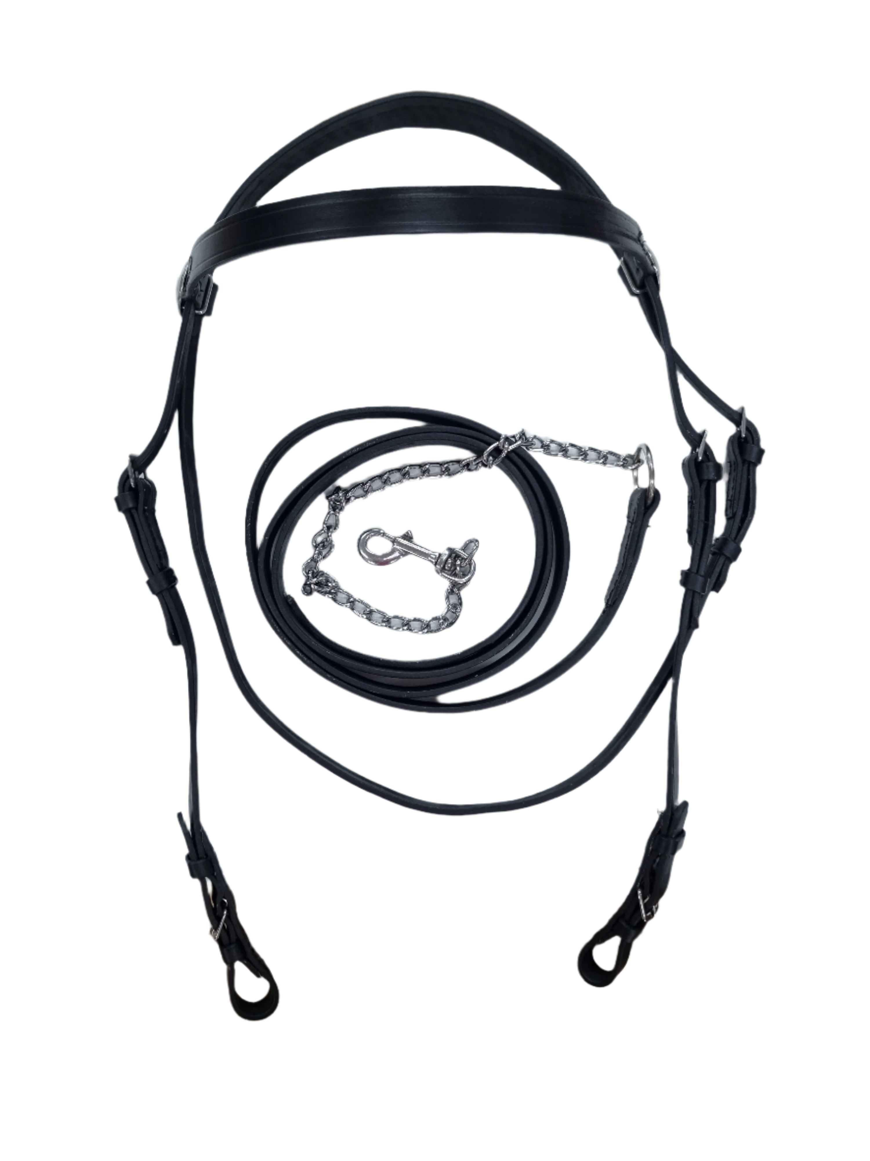 Bridle Showing In Hand Solo