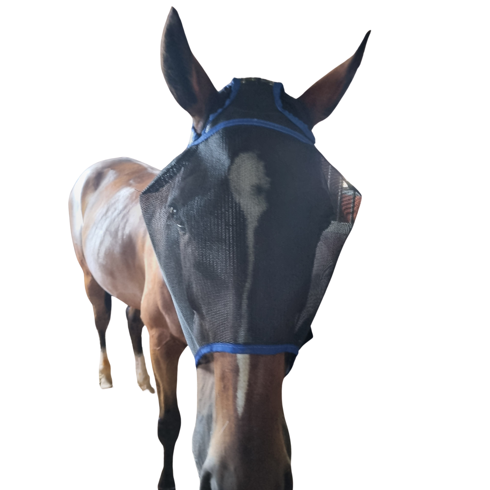 Fly Mask With Ear Holes Solo
