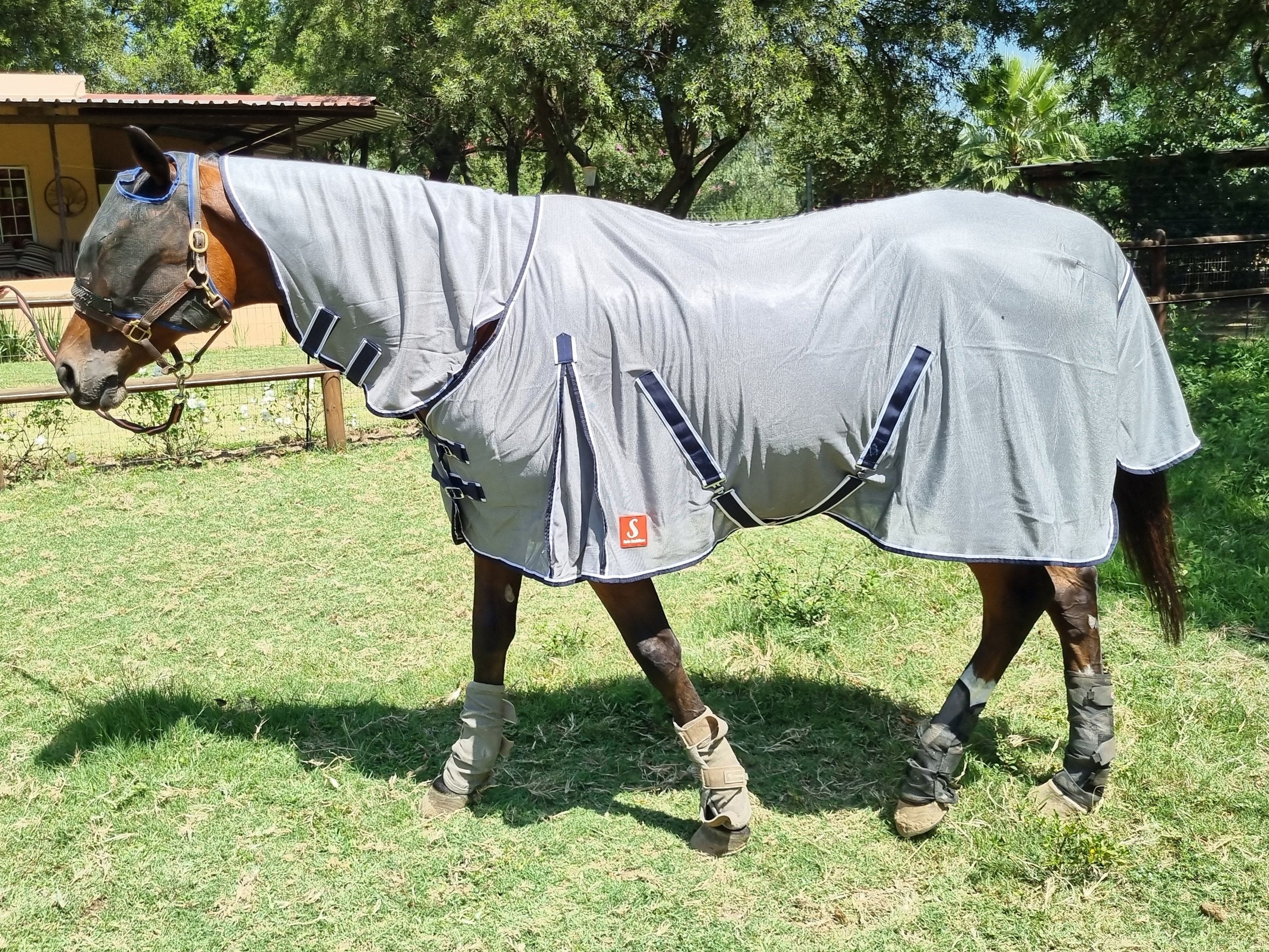 Fly Sheet & Neck Solo