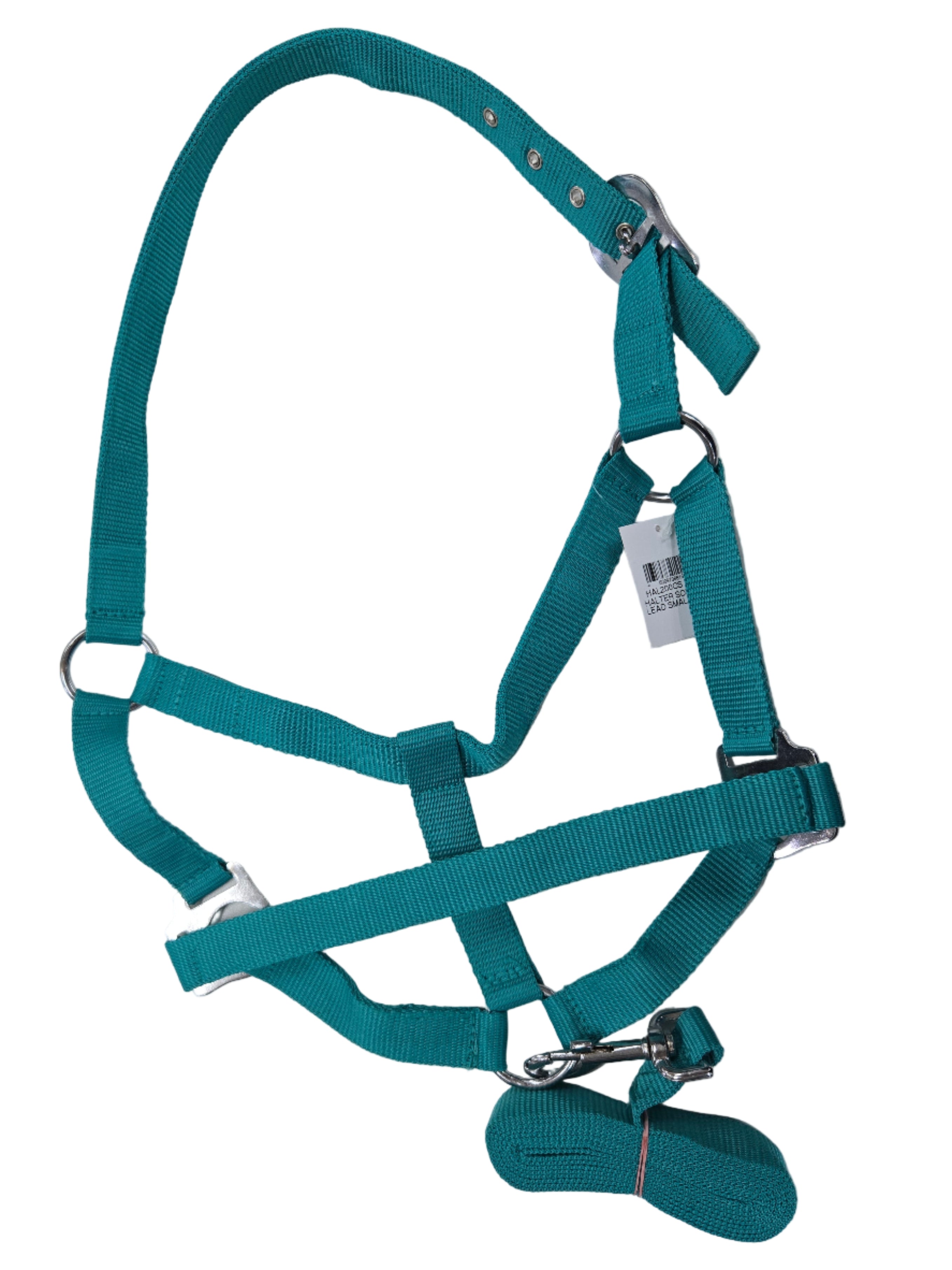 Halter Nylon Solo + Lead Foal/Mini