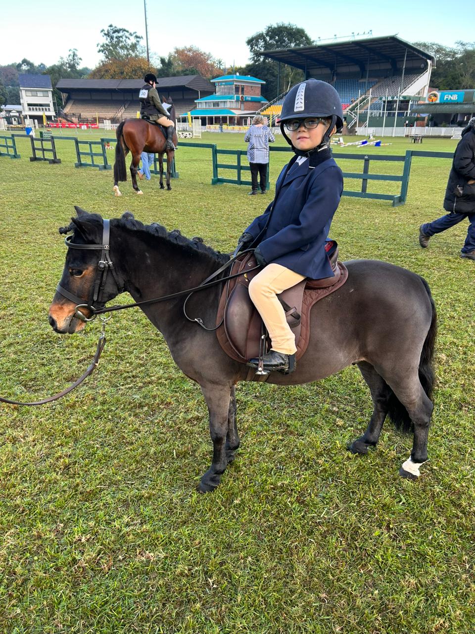 Bridle Pony Shetland Solo