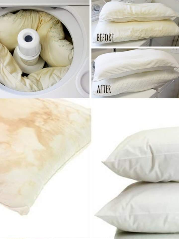 Ecologic Stain Remover