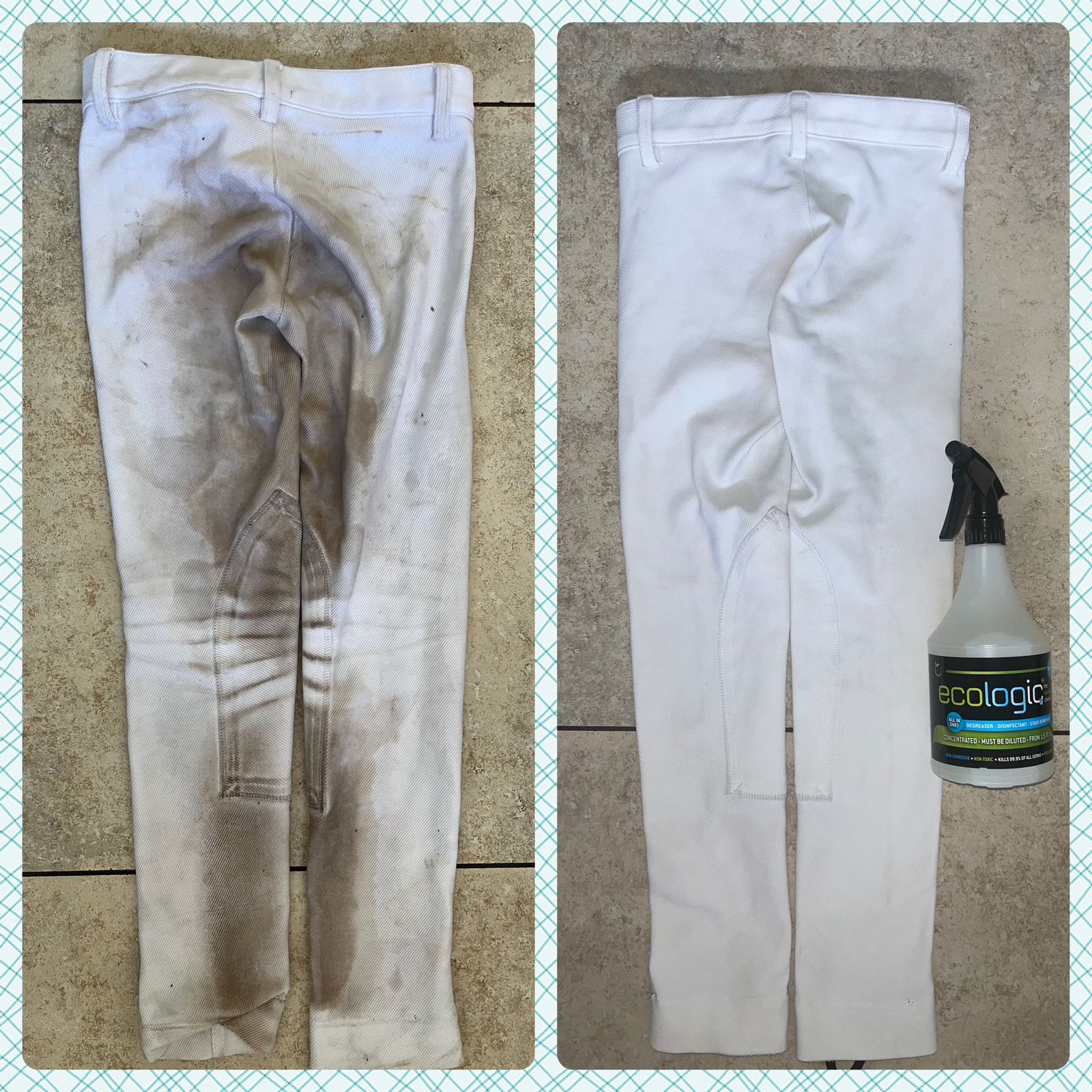 Ecologic Stain Remover