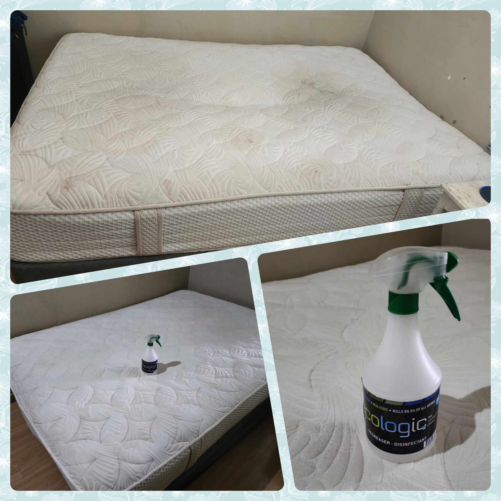 Ecologic Stain Remover