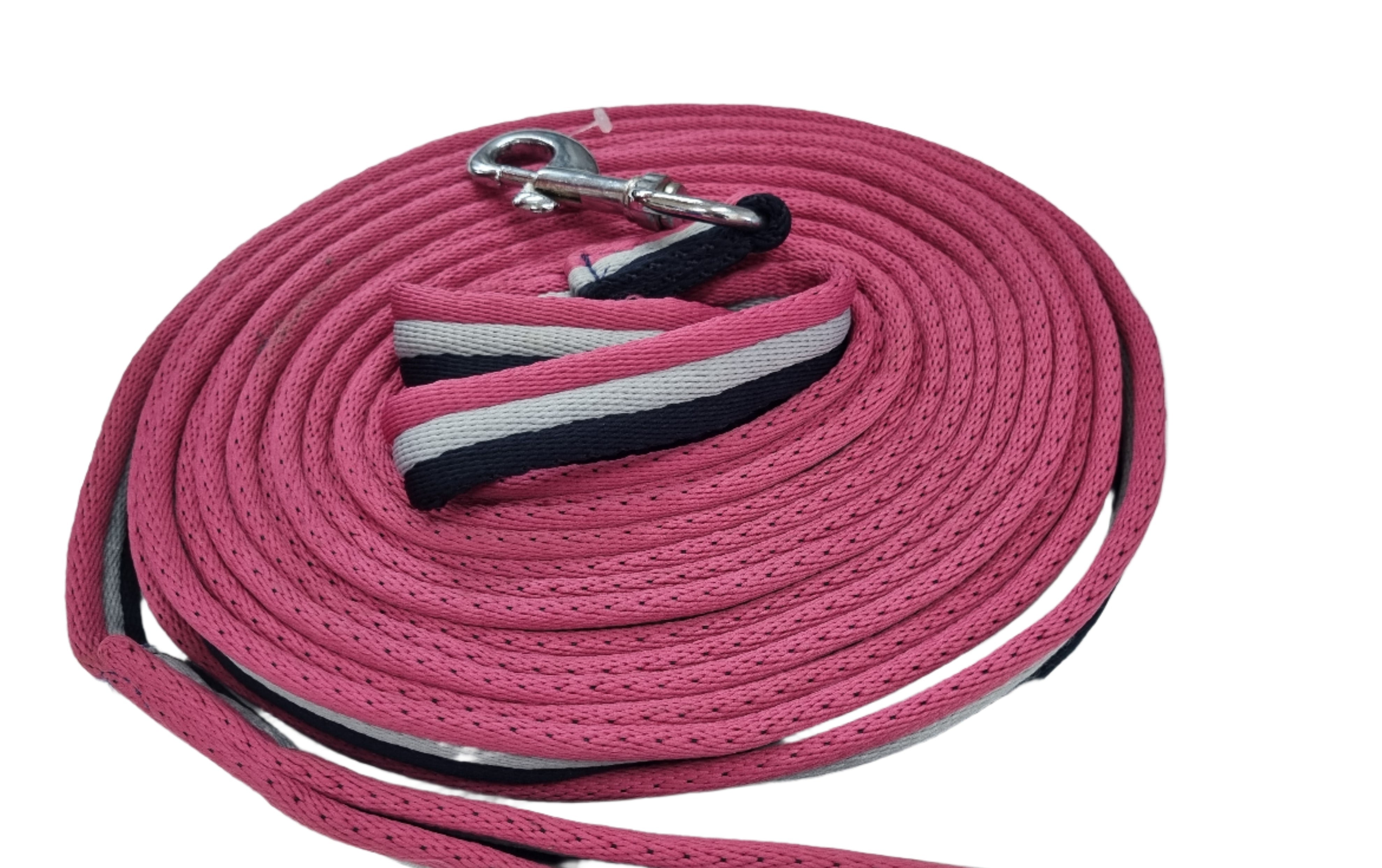 Lunge Lead Web Padded Solo