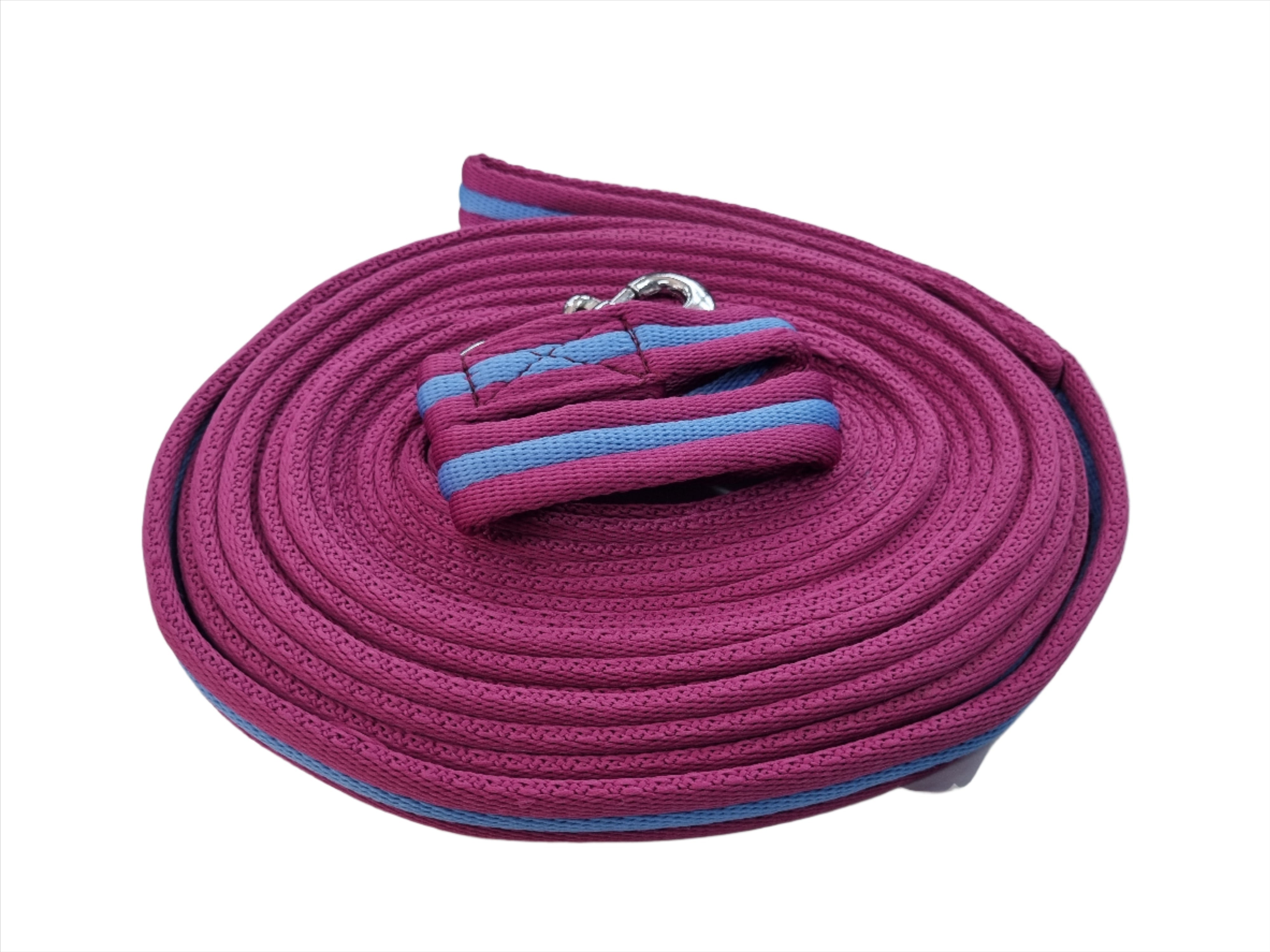 Lunge Lead Web Padded Solo
